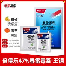 禾益 倍得乐47%春雷霉素王铜 柑橘叶霉病细菌病霜霉病杀菌剂25g