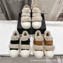 ߶2025ﶬСLA^͎ƤëһwħgNױů\eЬ