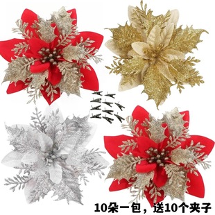 14cm����}�Q��10���͊A�� �}�Q�����h�b��}�Q���}�Q���^���滨