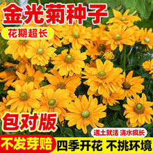 ���շN���ļ��׻���������N����ͥԺ�������Ծ��^�G�������ͺ�