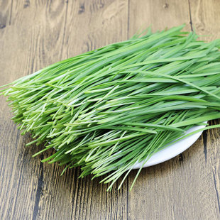 ²˷NӷNƲ˾Sļ˷NԸ߲˲˷NѷNݲ