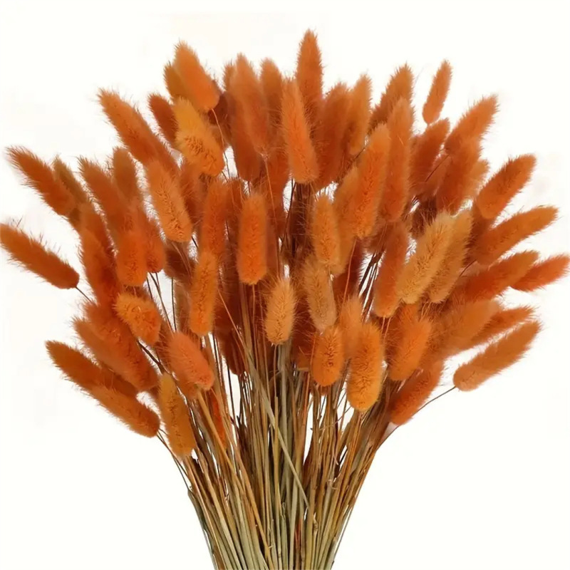 Manufacturer's Ready-Made Wholesale Home Decoration Rabbit Tail Grass Dried Flowers Photography Props Amazon Cross-Border Dried Flowers Rabbit Tail Grass
