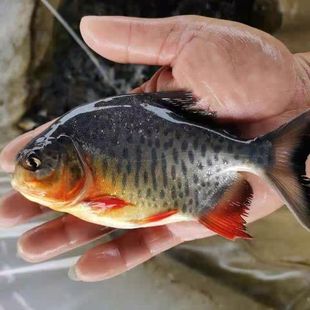 ��ˮ���K�~���~�����Bֳ�~�����B�t�K�~�Ꭷ�~���|�V�|��ˮ�~���~