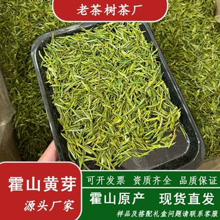 2026年新茶霍山黄芽批发散装浓香茶叶原产地直发自产自销