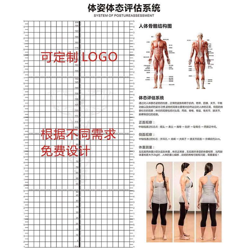 Posture Assessment Form Personal Training Gym Wallpaper Yoga Studio Human Body Mapping Mural Studio Wall Covering