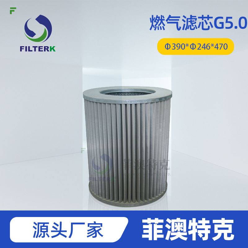 燃气滤芯 G5.0 不锈钢材质 圆形冲孔板 4MPa 城镇高中压管线过滤