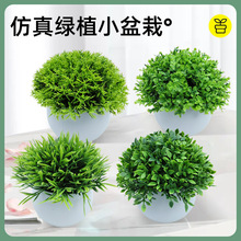 仿真花盆景室内装饰小盆栽绿植办公室桌面装饰玄关酒柜摆件假花