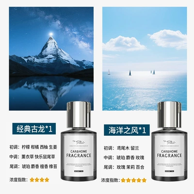 Car Perfume Aromatherapy: Fireless Aromatherapy Liquid Home - meizu-2-bottles-cologne-ocean