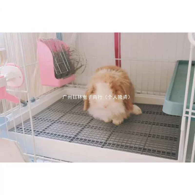 Туалет для кролика большой маленький размер горшок для морской свинки кошка собака Писсуар для домашних животных дезодорант набор норка доставка цельная доставка