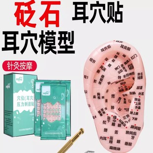 ��Ѩ�N��ʯ�N�����N��Ħ�Nλ����������^̽�P�o������ģ��