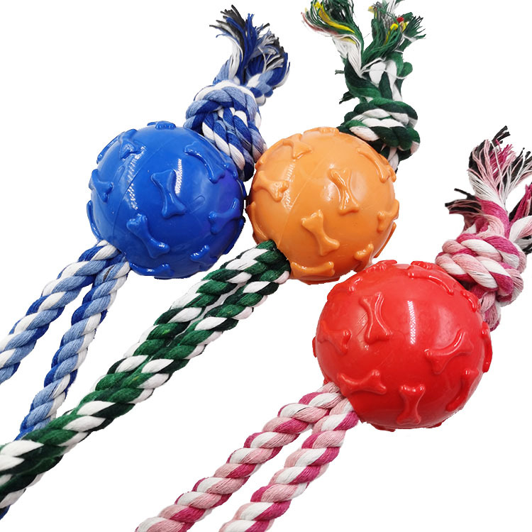 Cuerda para mascotas pelota resistente a los mordiscos cuerda de algodón para perros TPR pelota de goma entrenamiento para perros molares juguetes educativos interactivos fábrica al por mayor