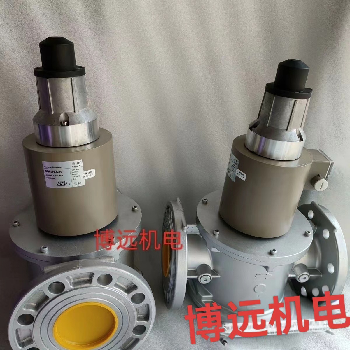 SG40FS/220施能慢开电磁阀 SG50FS/220  SG65FS/220 SG80FS/220