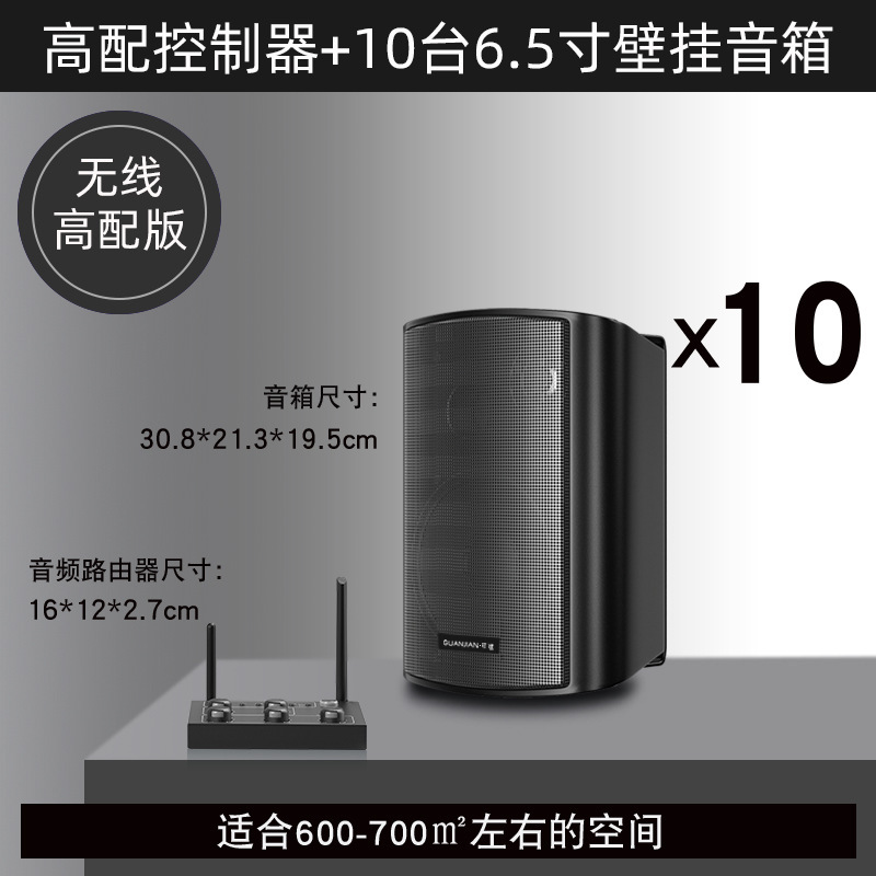壁挂无线音响店铺舞蹈教室餐厅健身房会议室商用音箱组合套装|undefined