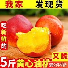 ���ҬF؛�S�����r�����ЋDˮ�������S���S�����������l���S���l