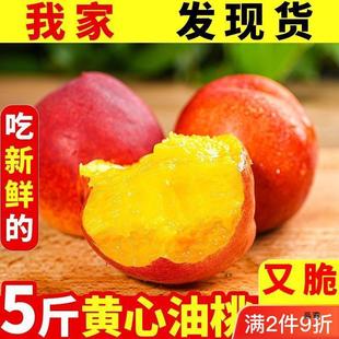 ���ҬF؛�S�����r�����ЋDˮ�������S���S�����������l���S���l