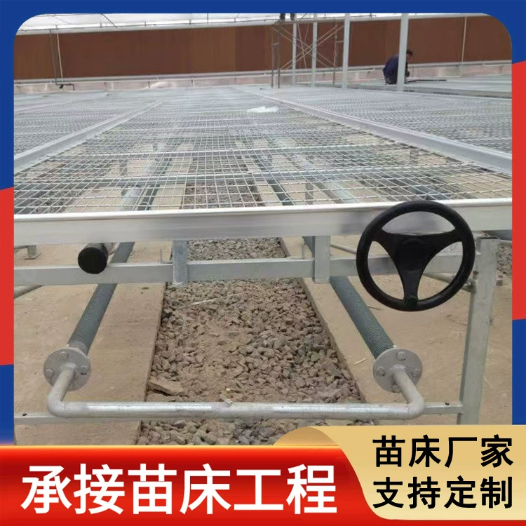 Сетчатые ложе для рассады Мобильные рассады для рассады Овощные рассады для выращивания цветов Оцинкованные рассады для выращивания теплиц