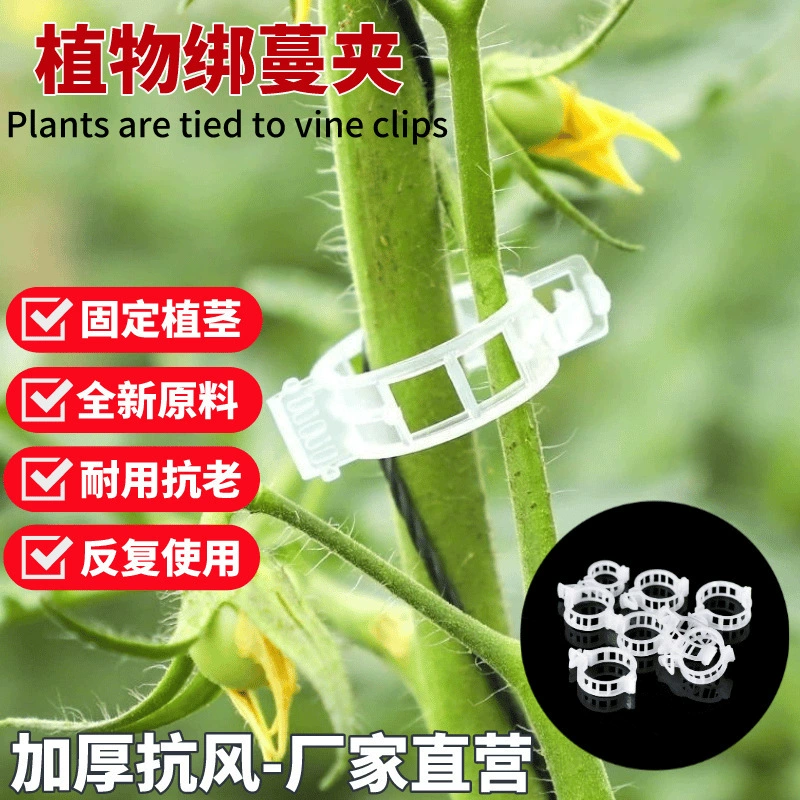 Фиксированный зажим для рассады пластиковый завязанный зажим для виноградной лозы