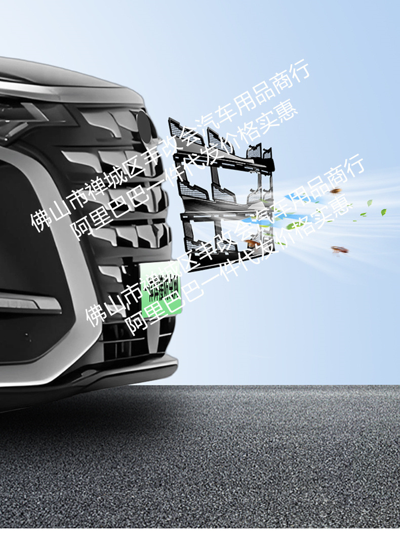 Suitable for Denza D9 Integrated Welded Car Insect-Proof Net Front Grille Special Modified Decorative Strip Accessories