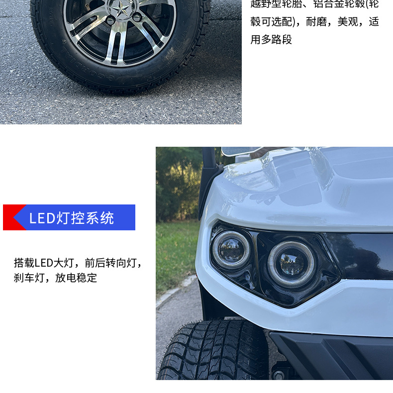 Multifunctional Electric Golf Cart Sand Bucket Ball Washer Insulated Box Rain Curtain Golf Cart for Golf Course