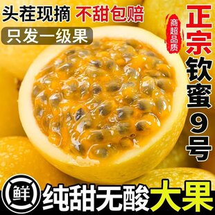 �V���J��9̖��������r����5���S�C���f����Fժ������]