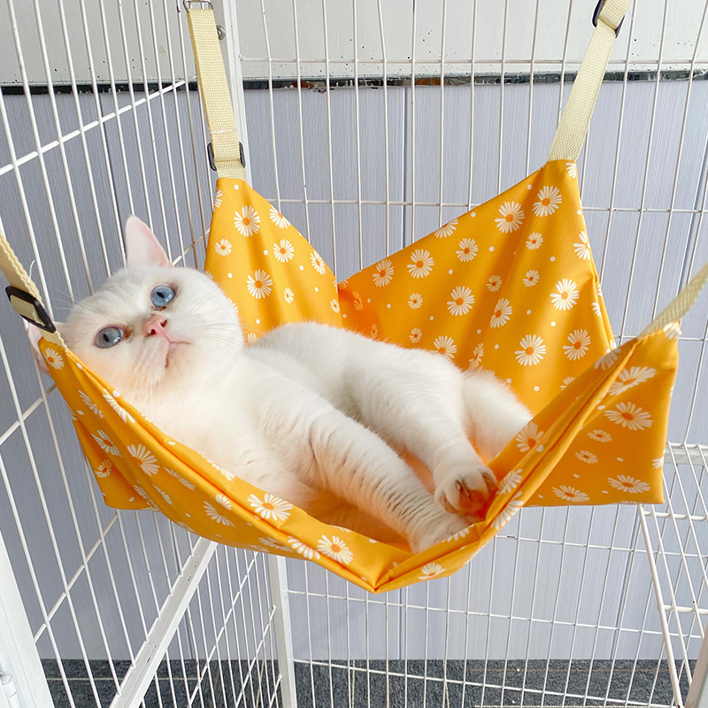 옐로우 데이지