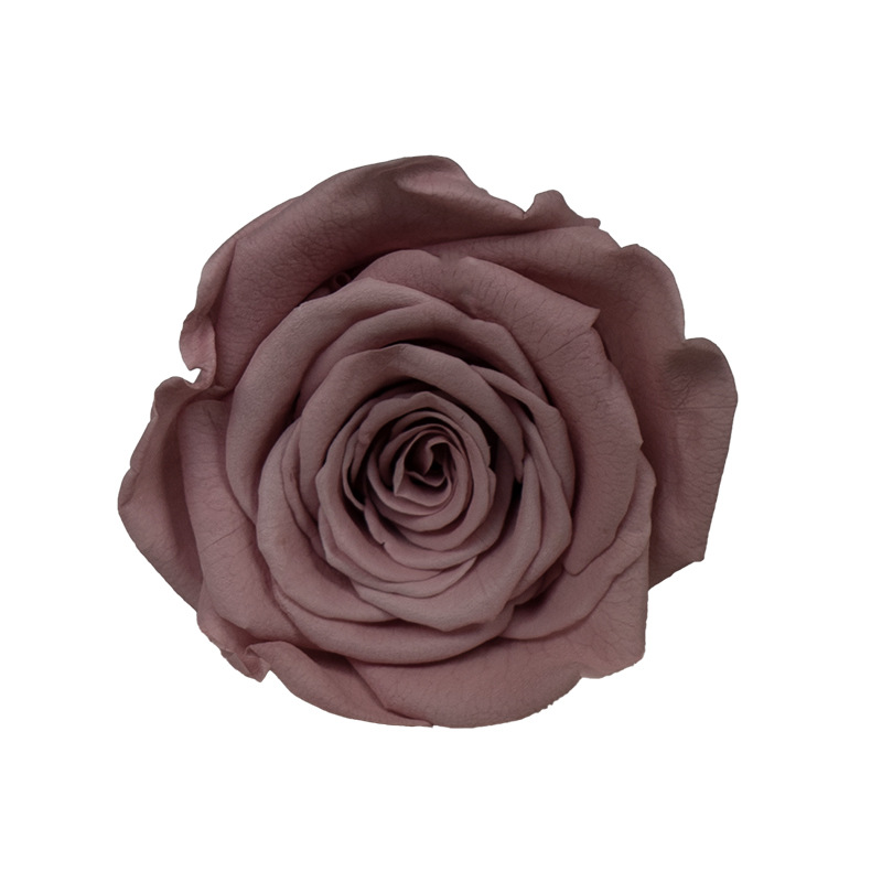 4-5cm 8 Flores, grado B DIY flores eternas, rosas eternas, Yunnan Kunming al por mayor, flores preservadas