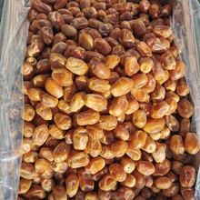 ��؛�M��Ҭ���������S�W�t���w���S���ۗ��b�ν����l�����ؼ�����