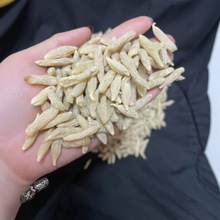 ĴaֱN؛xɢb500gɢbԭl