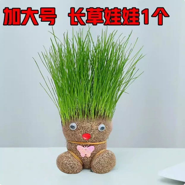 Цветущая кукла Новый Травяной Голова Кукла Креативное Растение Цветок Растение в горшке Хорошо держать Зеленое растение Douyin в том же стиле Милый котёнок трава