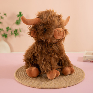�羳��ƷHighland Cow�ɐ��K���m�ߵ�ţ�Lë�q���ţ����ϵ�жY��