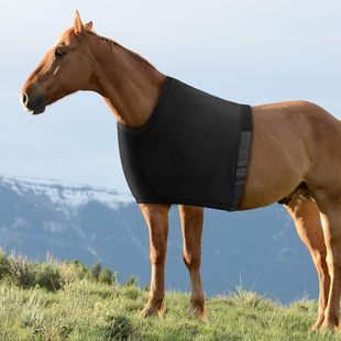 Horse Vest Horse Shoulder Protectors High Elastic Anti-friction Horse Outgoing Equestrian Supplies Horse Flying Anti-mosquito Warm Vest