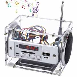 1套 颜色：图片色 材质：塑料 美规 AC100-240V 音响散件+外壳+充