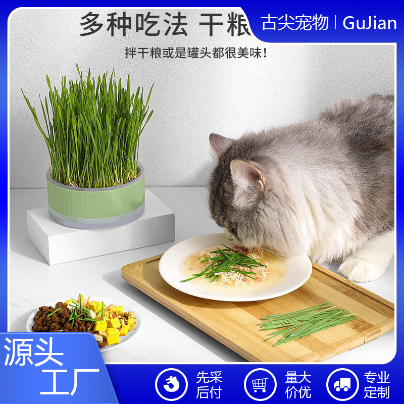 Cat Grass Potted Soilless Hydroponic Box Cat Grass Cup Wheat Seed Potted Hair Ball Natural Cat Snacks