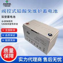 双登蓄电池  6-GFM-100/12V40AH/65AH/100AH/120AH UPS后备蓄电池