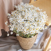 �����BС�r�ոɻ�������ʾ�С���¿͏d�b��Ĕz������Ȼ�L���滨