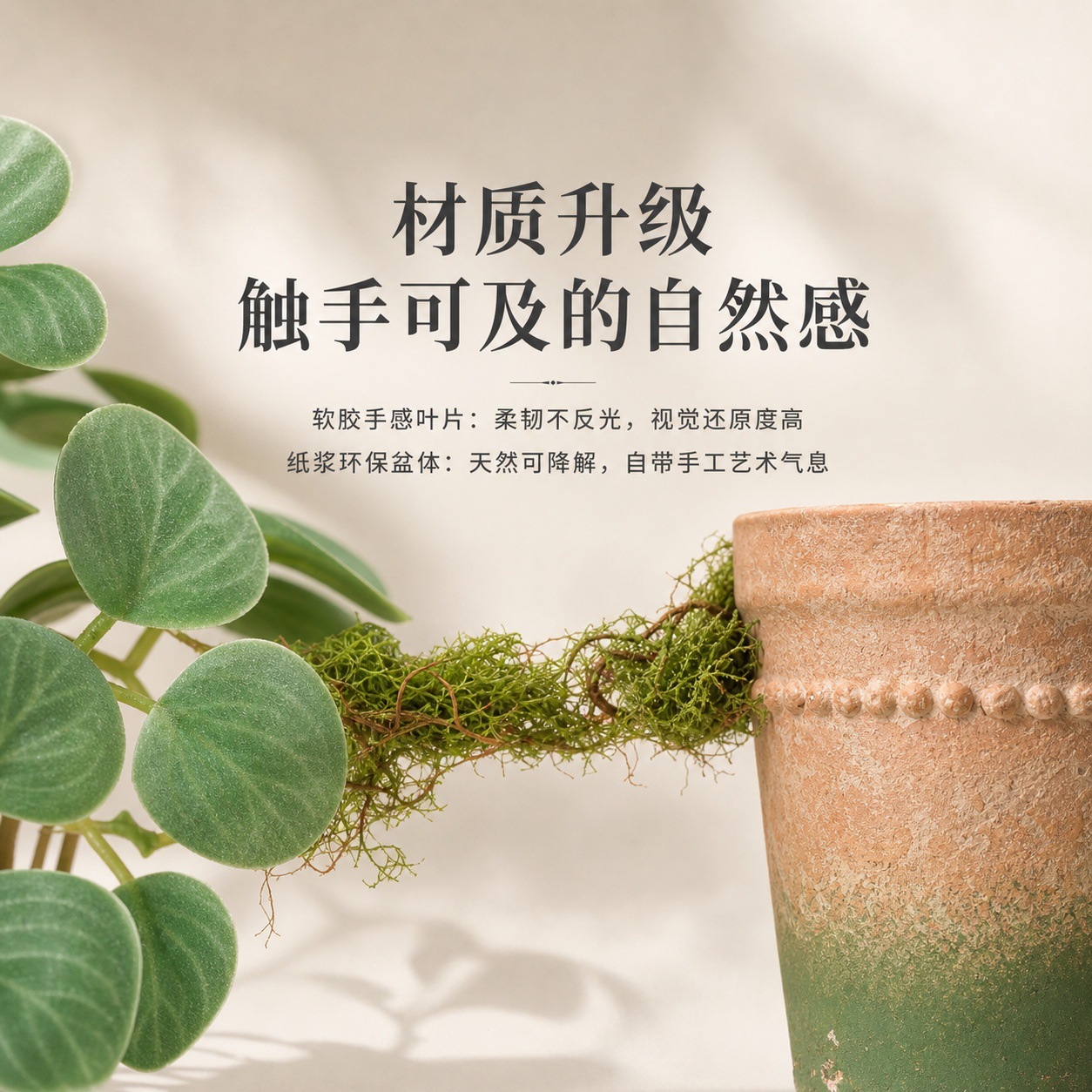 1114青苔杯详情页 (2).jpg
