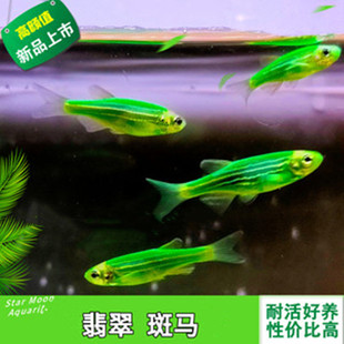 �����R�~�ɹ���R�~���w��ˮ�~�͜��~�Ꭷ�~�^�p�~�O�����lС�~