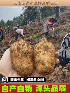 �¸�؛1��ͨ�Ǟ�С����Ұ��500g�݉����r���1000g2������u���