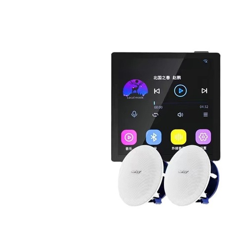 Skyworth Smart WiFi Controlled Ceiling Speaker Home Background Music Panel Host System Voice