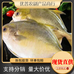 ���r���K�~�r������ش��K�~����~���~�r��rƽ�~���K���r����