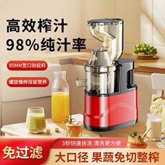 跨境榨汁机小型家用汁渣分离全自动果蔬原汁机商用炸果汁机现榨