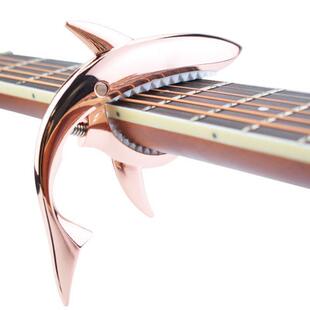 ���{����׃�{�A ���������ȿ�����׃���҂������~׃�{�A