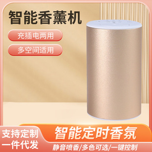 Car essential oil aromatherapy machine fragrance expander intelligent timing USB charging fragrance sprayer portable waterless essential oil fragrance diffuser