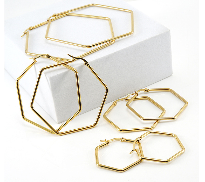 Simple Style Hexagon Plating Titanium Steel Earrings display picture 1