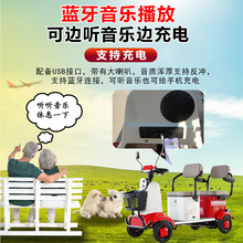 新款C9高端老人代步车四轮电动车老年专用家用助力小巴士电瓶车