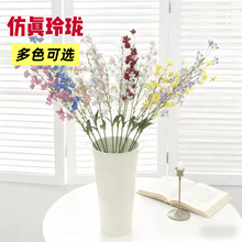 ���滨�L⏲����~�Ҿӻ�c�Gֲ�b������l�ٻ��＾�[����������