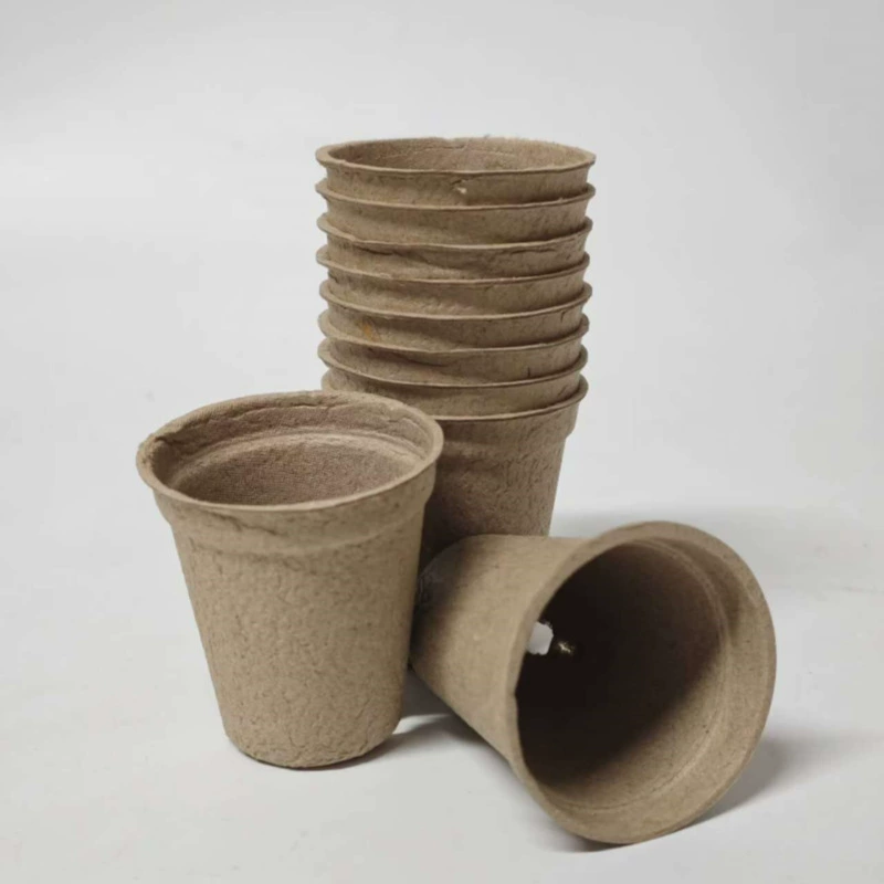 Чашка для рассады целлюлозы 5.5CM Круглая чашка с 2 лунками FSC экологически чистые разлагаемые семена для выращивания рассады без торфа