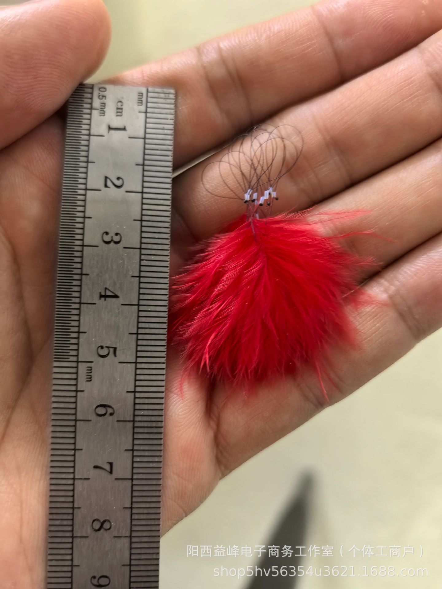 微信图片_20241104210919