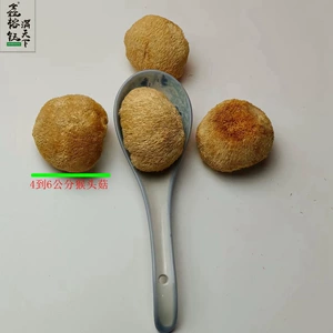 Xinrongyu Hericium 4–6 см оптом, без корней, 500 г поставляется непосредственно из места происхождения Hericium.