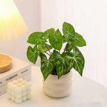 Դ�^���S���l���Wֲ�������辰�Gֲ�����҃��k���ҹ�λ�b��ٻ�